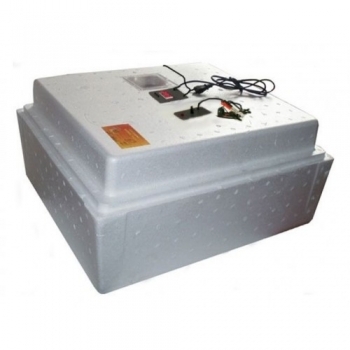  -77--12    , , 12, / 76