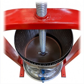 ����� �������� ������ 15 �