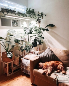    MiniFermer 50 .  120 