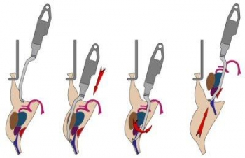 ����� ��� ���������� �����