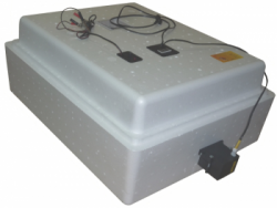 Инкубатор Несушка-77-ЭВГA-12В цифровой, автомат, вентилятор, 12В, гигрометр, н/н 63Вг